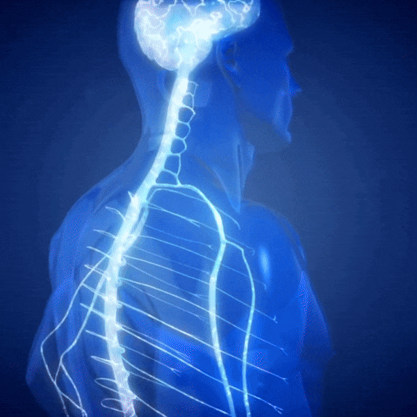 Proč neuropatie způsobuje bolest a nepohodlí